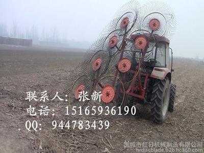 厂家生产优质指盘搂草机 拖拉机带的搂草机 玉米秸秆收集机械 8盘指盘搂草机图片_高清图_细节图-禹城市红日机械制造 -